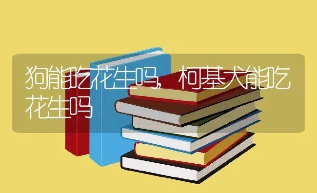 狗能吃花生吗,柯基犬能吃花生吗 | 养殖常见问题