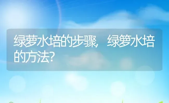 绿萝水培的步骤,绿箩水培的方法？ | 养殖常见问题