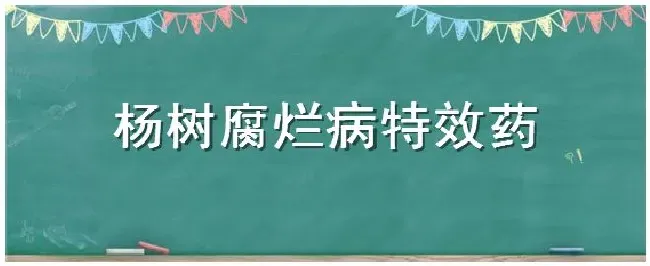 杨树腐烂病特效药 | 生活常识