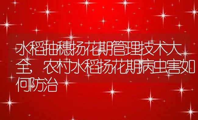 水稻抽穗扬花期管理技术大全,农村水稻扬花期病虫害如何防治 | 养殖常见问题