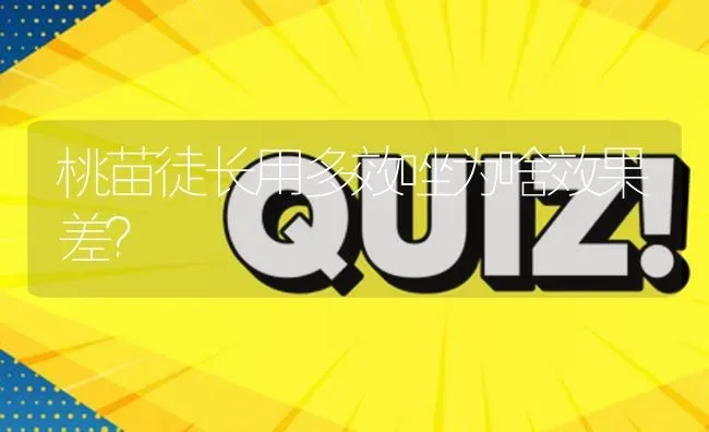 桃苗徒长用多效唑为啥效果差? | 养殖问题解答