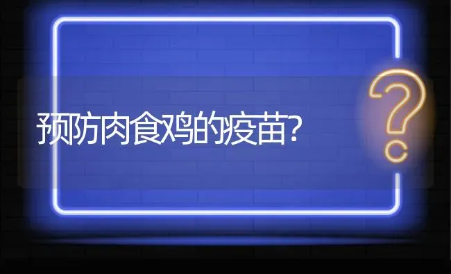 预防肉食鸡的疫苗? | 养殖问题解答