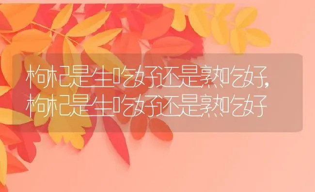 枸杞是生吃好还是熟吃好,枸杞是生吃好还是熟吃好 | 养殖常见问题