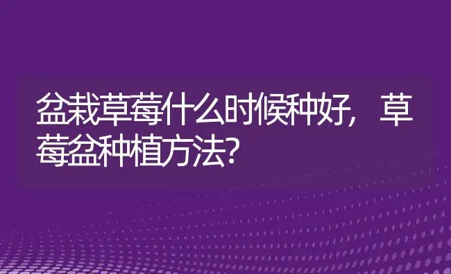 盆栽草莓什么时候种好,草莓盆种植方法？ | 养殖常见问题