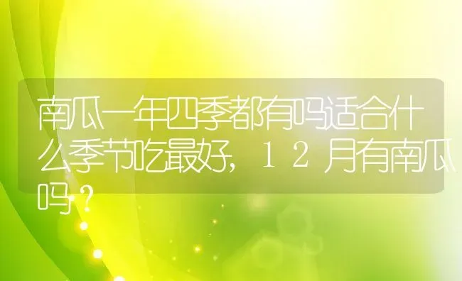 南瓜一年四季都有吗适合什么季节吃最好,12月有南瓜吗？ | 养殖常见问题