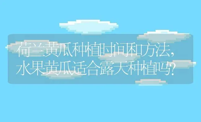 荷兰黄瓜种植时间和方法,水果黄瓜适合露天种植吗？ | 养殖常见问题