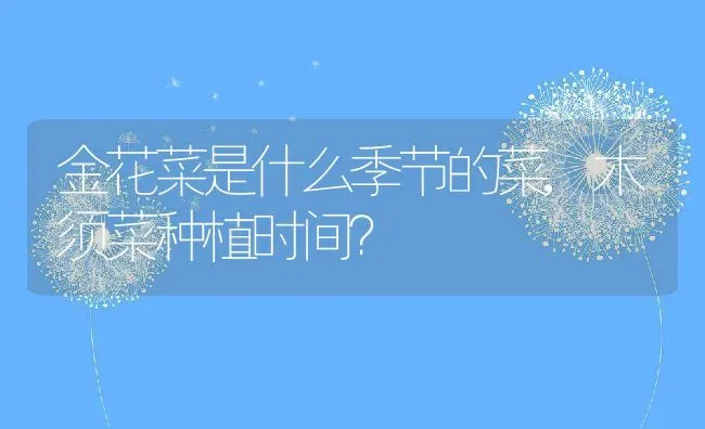 金花菜是什么季节的菜,木须菜种植时间？ | 养殖常见问题