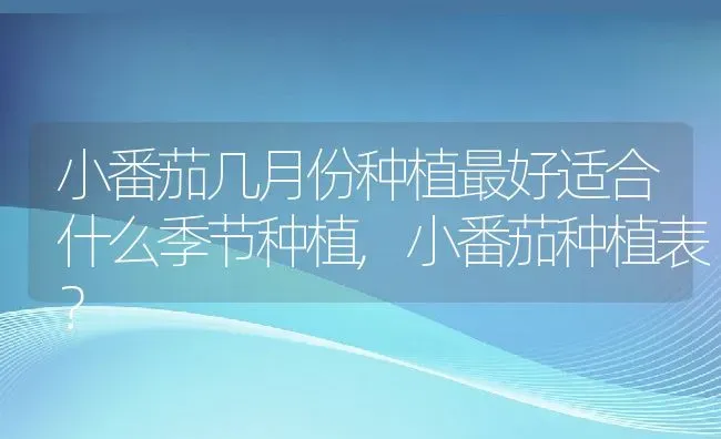 小番茄几月份种植最好适合什么季节种植,小番茄种植表？ | 养殖常见问题