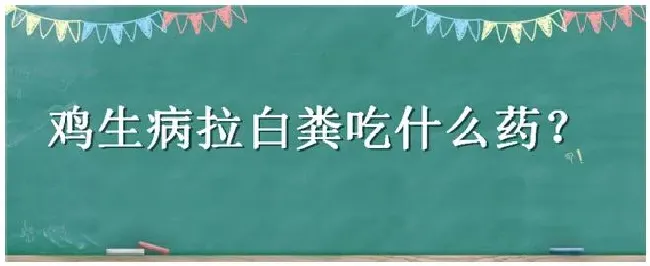 鸡生病拉白粪吃什么药 | 科普知识