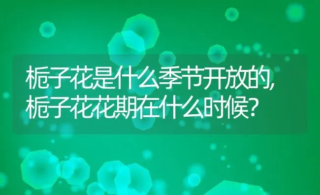 栀子花是什么季节开放的,栀子花花期在什么时候？ | 养殖常见问题