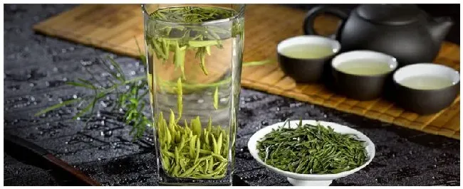 毛尖产自哪里 | 农业常识