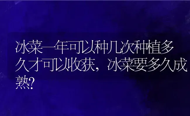 冰菜一年可以种几次种植多久才可以收获,冰菜要多久成熟？ | 养殖常见问题