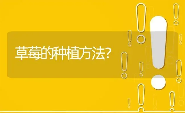 草莓的种植方法? | 养殖问题解答