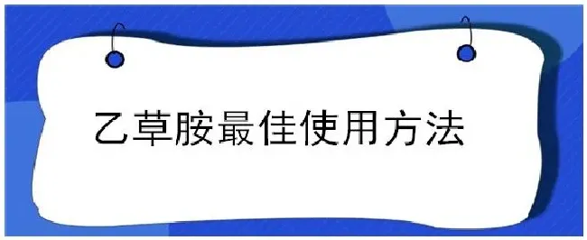 乙草胺最佳使用方法 | 农业答疑