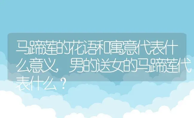 马蹄莲的花语和寓意代表什么意义,男的送女的马蹄莲代表什么？ | 养殖常见问题