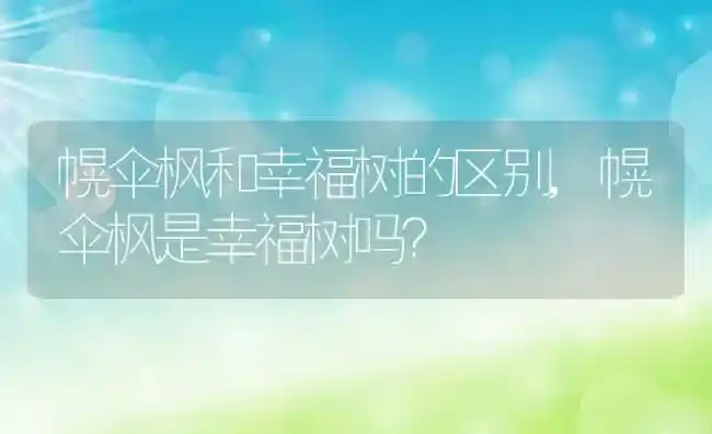 红树林生长环境条件及特点,红树林好养么？ | 养殖常见问题