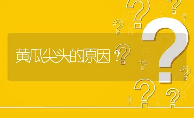 黄瓜尖头的原因? | 养殖问题解答