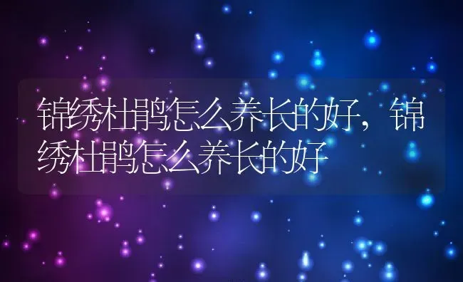 锦绣杜鹃怎么养长的好,锦绣杜鹃怎么养长的好 | 养殖常见问题