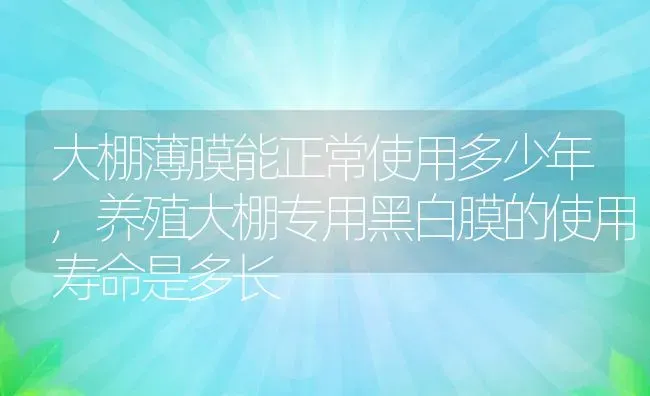 大棚薄膜能正常使用多少年,养殖大棚专用黑白膜的使用寿命是多长 | 养殖常见问题