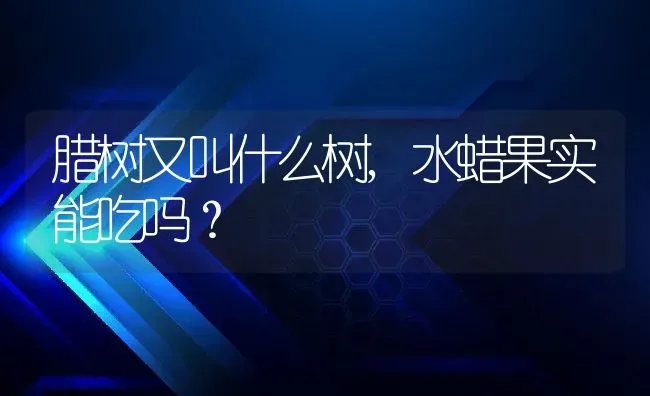 腊树又叫什么树,水蜡果实能吃吗？ | 养殖常见问题