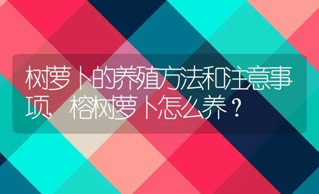 树萝卜的养殖方法和注意事项,榕树萝卜怎么养？ | 养殖常见问题