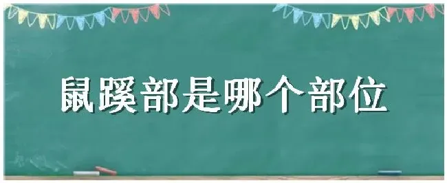 鼠蹊部是哪个部位 | 农业问题