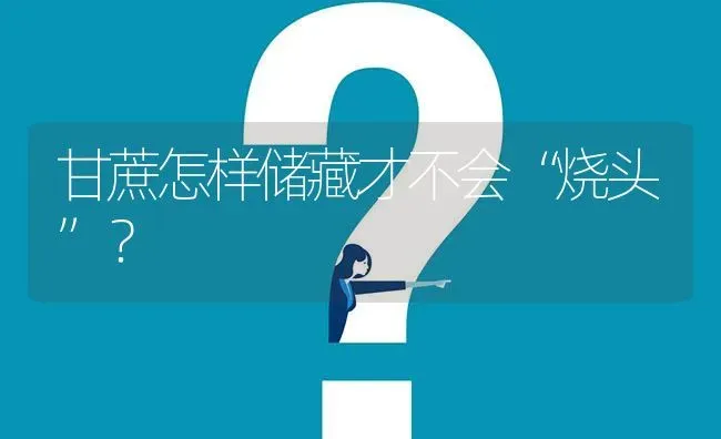 甘蔗怎样储藏才不会“烧头”? | 养殖问题解答