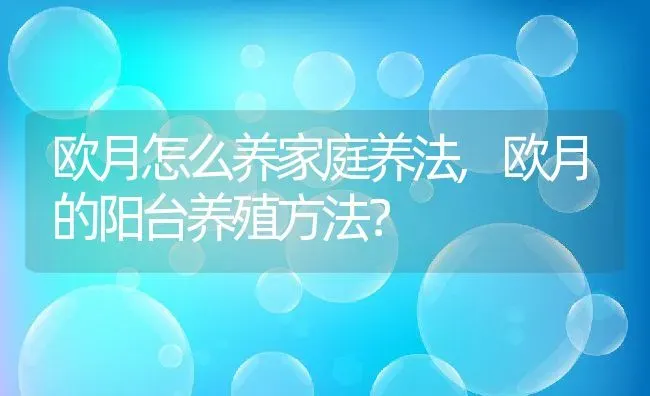 欧月怎么养家庭养法,欧月的阳台养殖方法？ | 养殖常见问题