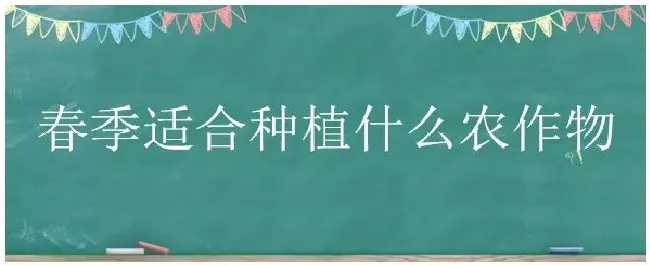 春季适合种植什么农作物 | 农业答疑