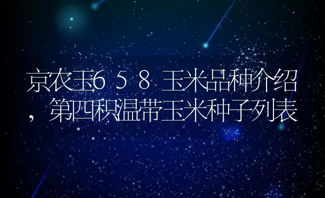 京农玉658玉米品种介绍,第四积温带玉米种子列表 | 养殖常见问题