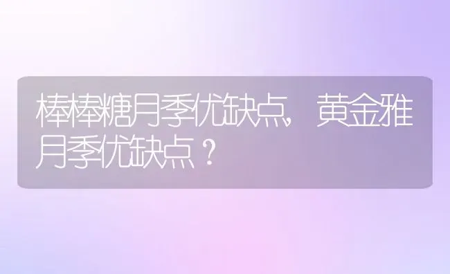 棒棒糖月季优缺点,黄金雅月季优缺点？ | 养殖常见问题