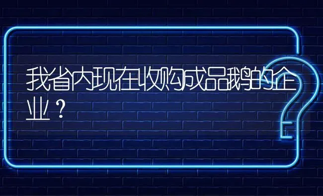 我省内现在收购成品鹅的企业? | 养殖问题解答