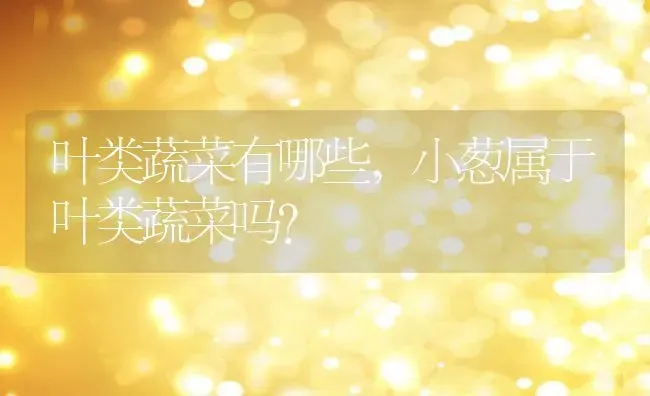 叶类蔬菜有哪些,小葱属于叶类蔬菜吗？ | 养殖常见问题