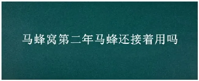 马蜂窝第二年马蜂还接着用吗 | 农业答疑