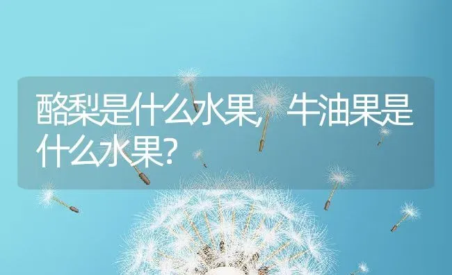 酪梨是什么水果,牛油果是什么水果？ | 养殖常见问题