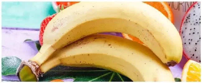 香蕉种多久挂果 | 三农问答