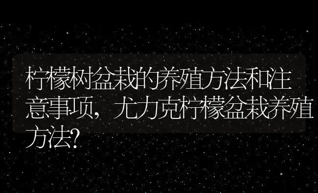 柠檬树盆栽的养殖方法和注意事项,尤力克柠檬盆栽养殖方法？ | 养殖常见问题