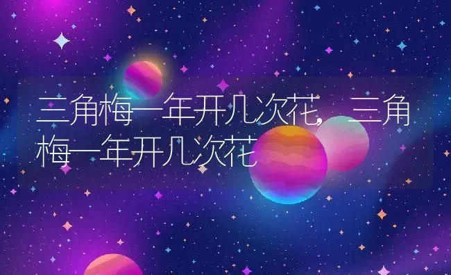 三角梅一年开几次花,三角梅一年开几次花 | 养殖常见问题