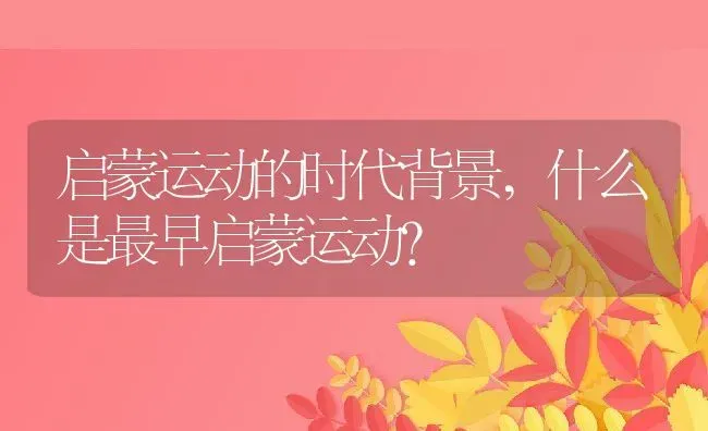 启蒙运动的时代背景,什么是最早启蒙运动？ | 养殖常见问题