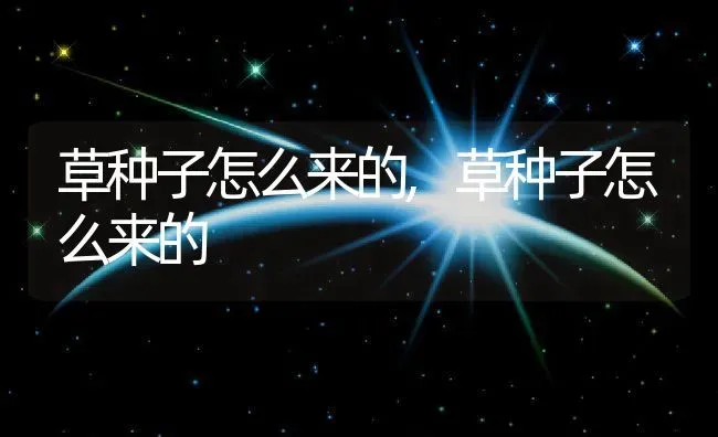 草种子怎么来的,草种子怎么来的 | 养殖常见问题