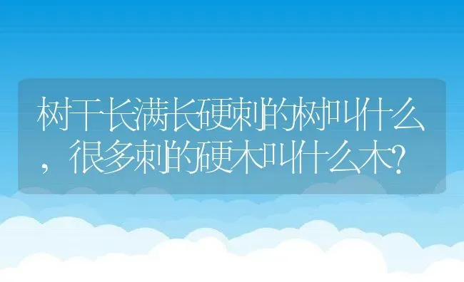 树干长满长硬刺的树叫什么,很多刺的硬木叫什么木？ | 养殖常见问题