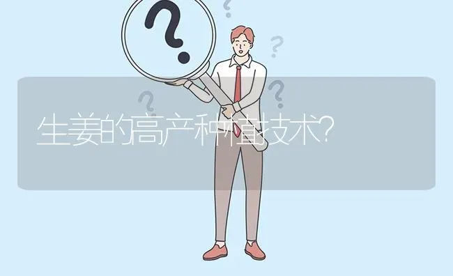 生姜的高产种植技术? | 养殖问题解答