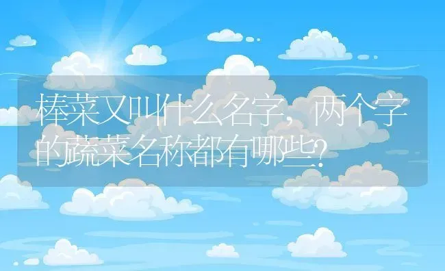 棒菜又叫什么名字,两个字的蔬菜名称都有哪些？ | 养殖常见问题