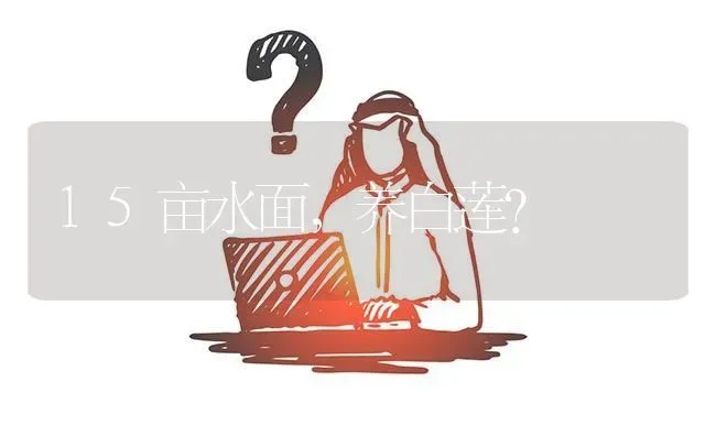 15亩水面,养白莲? | 养殖问题解答