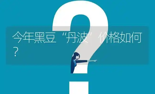 今年黑豆“丹波”价格如何? | 养殖问题解答
