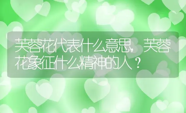 芙蓉花代表什么意思,芙蓉花象征什么精神的人？ | 养殖常见问题
