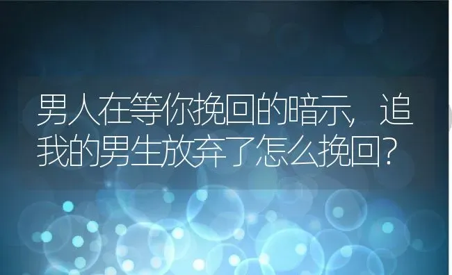 男人在等你挽回的暗示,追我的男生放弃了怎么挽回？ | 养殖常见问题