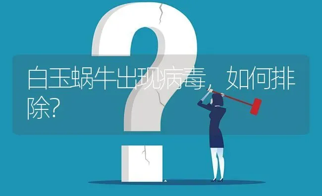 白玉蜗牛出现病毒,如何排除? | 养殖问题解答