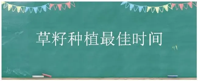 草籽种植最佳时间 | 科普知识