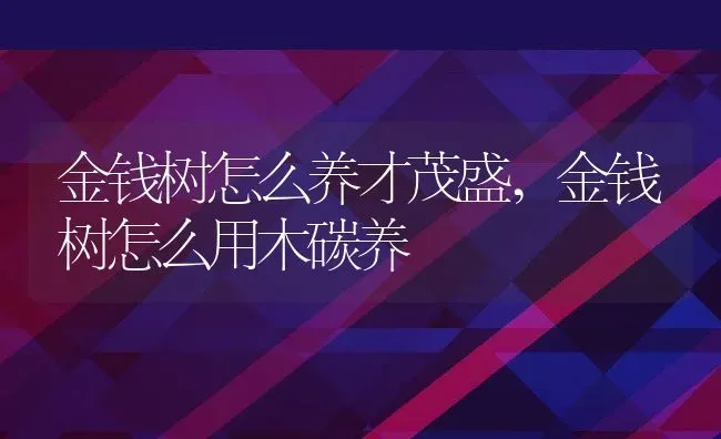 金钱树怎么养才茂盛,金钱树怎么用木碳养 | 养殖常见问题